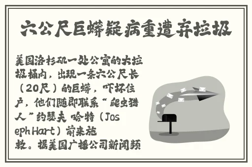 老婆不在家一个人寂寞CSGO文案